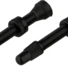 Tubelessventile - 2 Stück -Schwalbe Verkäufe 285452