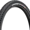 MAXXIS Dissector 3C MaxxGrip DD WT TR 29" Faltreifen -Schwalbe Verkäufe 346451